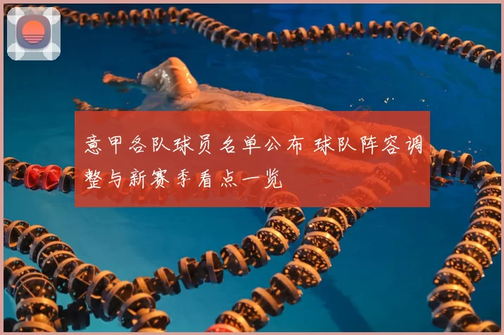 意甲各队球员名单公布 球队阵容调整与新赛季看点一览